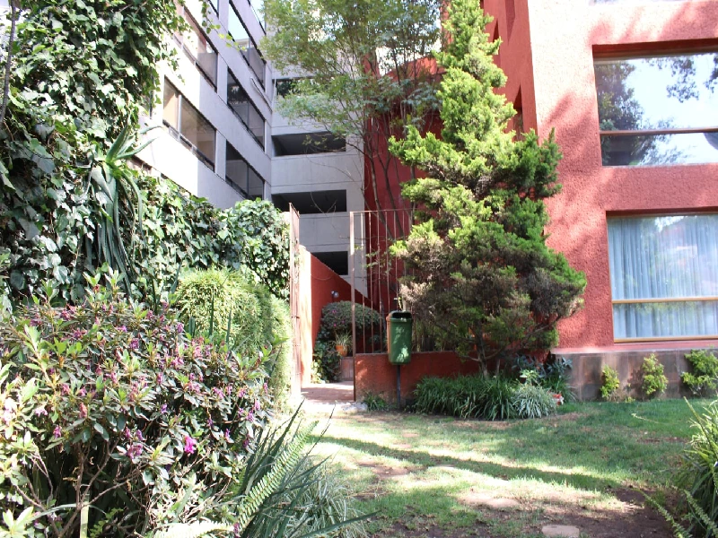 Jardín Depa en Renta Bosques de las Lomas