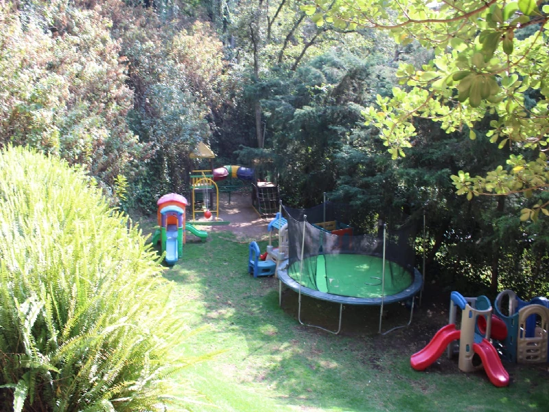 Amenidades Bosques de las Lomas