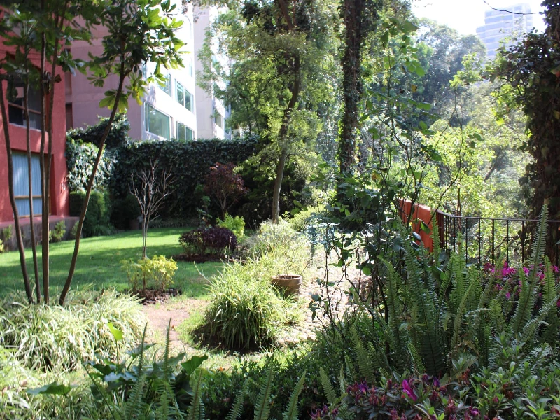 Áreas verdes Venta Bosques de las Lomas