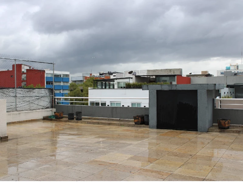 Roof Garden Departamento Roma Norte