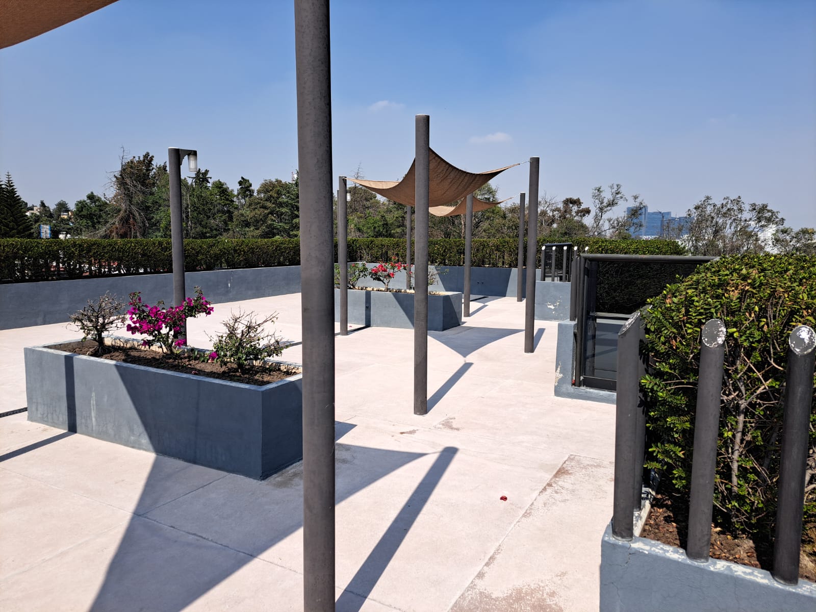 Amenidades Roof garden Lomas de Tecamachalco